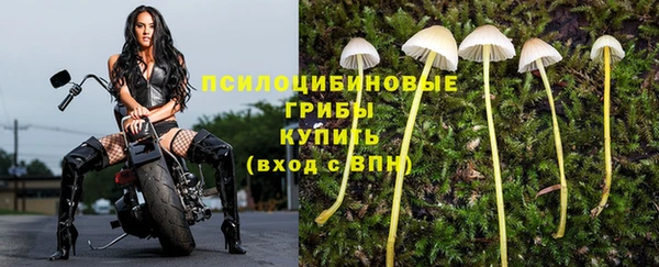 гашишное масло Пролетарск