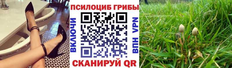 где купить   Холм  Галлюциногенные грибы мицелий 